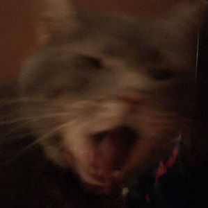 Meet your Posher, Xixi